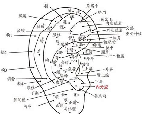 耳輪有痣男|耳朵痣位置圖解：福氣在哪裡